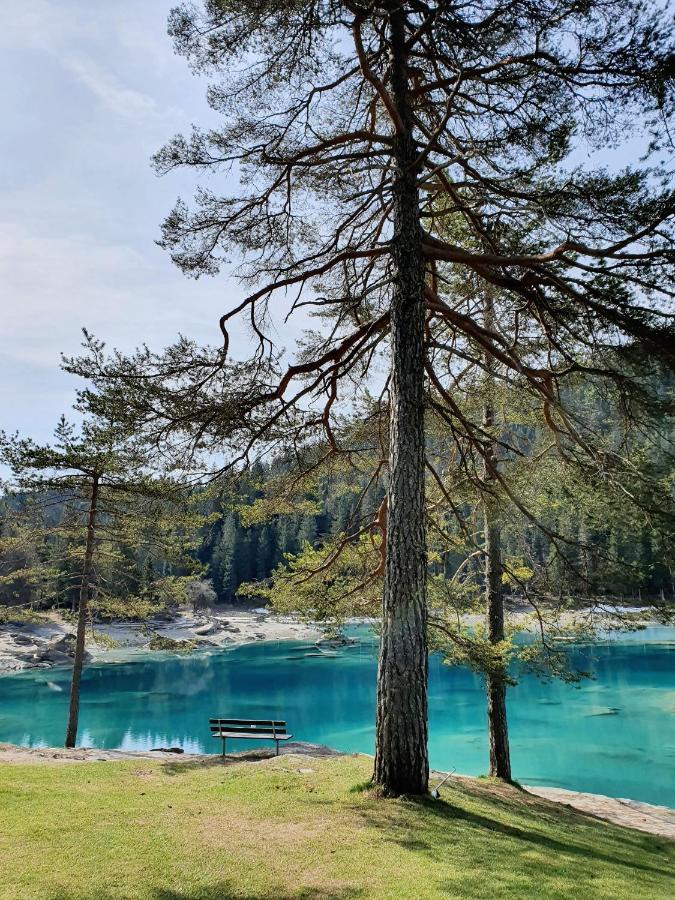 Ferienwohnung Stenna Selva An Toplage Флимс Экстерьер фото